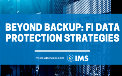 Beyond Backup: FI Data Protection Strategies